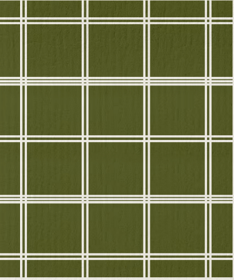 Simply Green Plaid Swedish Dishcloth