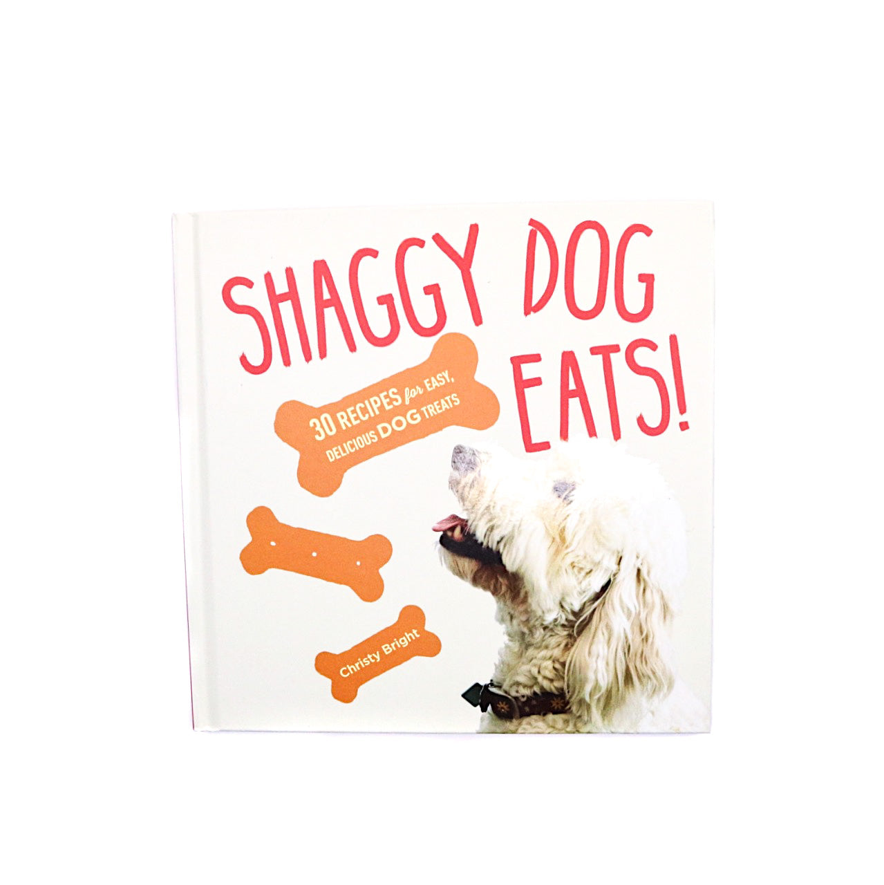 Shaggy Dog Eats by Christy Bright